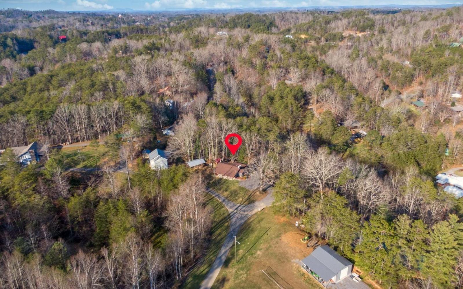 Wooded Bliss Hot Tub Single Level Cabin With No Steps Rocking Chairs And Wooded Views بيدجن فورج المظهر الخارجي الصورة