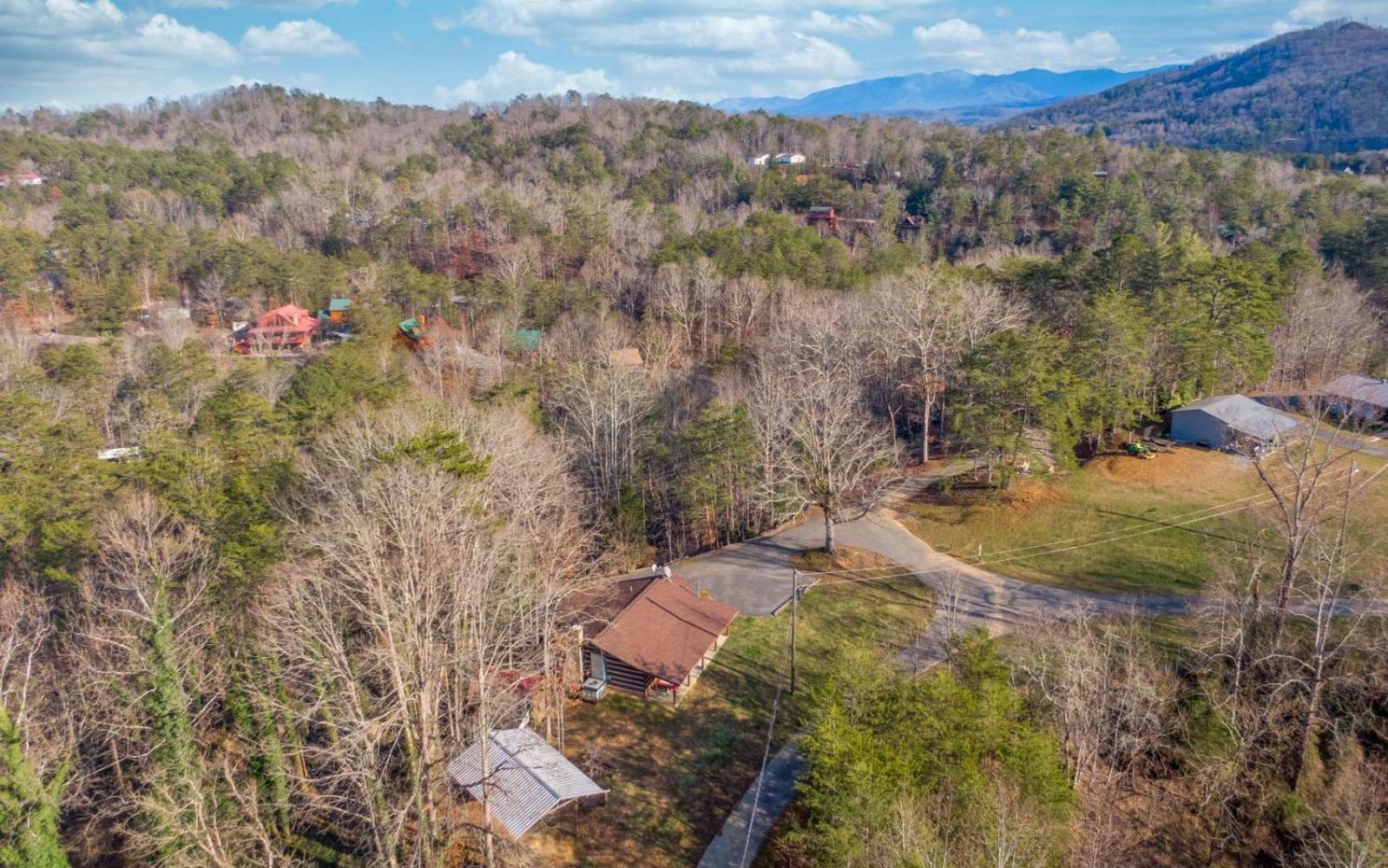 Wooded Bliss Hot Tub Single Level Cabin With No Steps Rocking Chairs And Wooded Views بيدجن فورج المظهر الخارجي الصورة